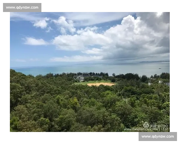 台风追至深圳:思念跨越千里的告白 台风追至深圳:思念跨越千里的告白