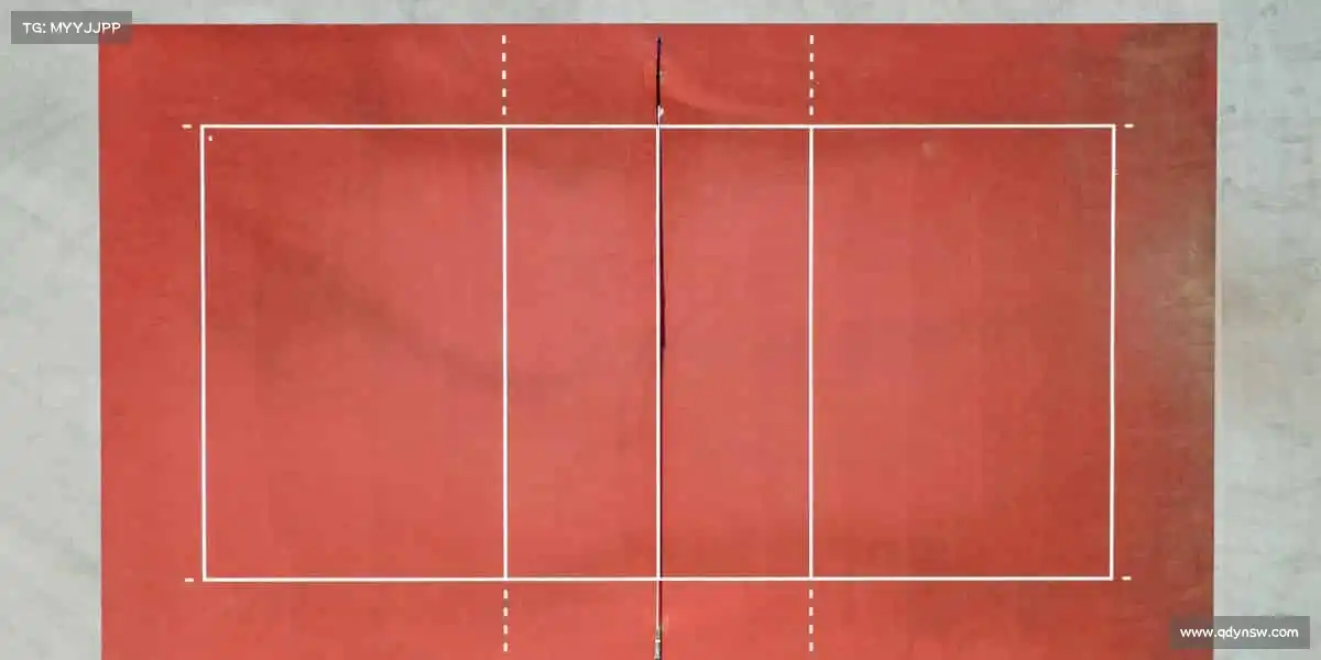 <strong>星空xk体育</strong>🎾参与即是精彩，体育的魅力在于每一次全力以赴！